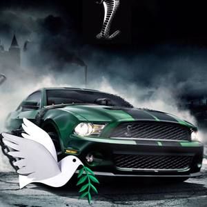 Meet your Posher, Jesus